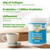 image:imageOrgain Hydrolyzed Collagen Peptides  Prebiotic amp Probiotics Powder for Women amp Men 20g Grass Fed Collagen 1 Billion CFU  Supports Digestive Hair Skin amp Joint Health NonGMO Type I amp III 1lb