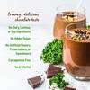 image:imageOrgain Organic Vegan Protein Powder  Greens Creamy Chocolate Fudge  21g Plant Based Protein Gluten Free Dairy amp Lactose Free Soy Free No Sugar Added Iron amp Prebiotics for Gut Health  194lbCreamy Chocolate Fudge