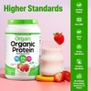 image:imageOrgain Organic Vegan Protein Powder Cookies amp Cream  21g Plant Based Protein 7g Prebiotic Fiber Low Net Carb No Lactose Ingredients No Added Sugar NonGMO For Shakes amp Smoothies 203 lbStrawberries  Cream