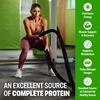 image:imageOrgain 30g High Protein Shake Dairy Isolate Milk Protein Chocolate Fudge 5g BCAAs 1g Sugar Per Serving Meal Replacement Ready to Drink Keto Friendly GlutenFree 11 Fl Oz Pack of 12Chocolate Fudge