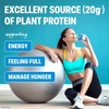 image:imageOrgain Organic Vegan Protein Shake Creamy Chocolate  20g Plant Based Protein Ready to Drink Fruits amp Vegetables Gluten Free Kosher No Soy or Dairy Ingredients 11 Fl Oz Pack of 12Plant Protein  Superfoods